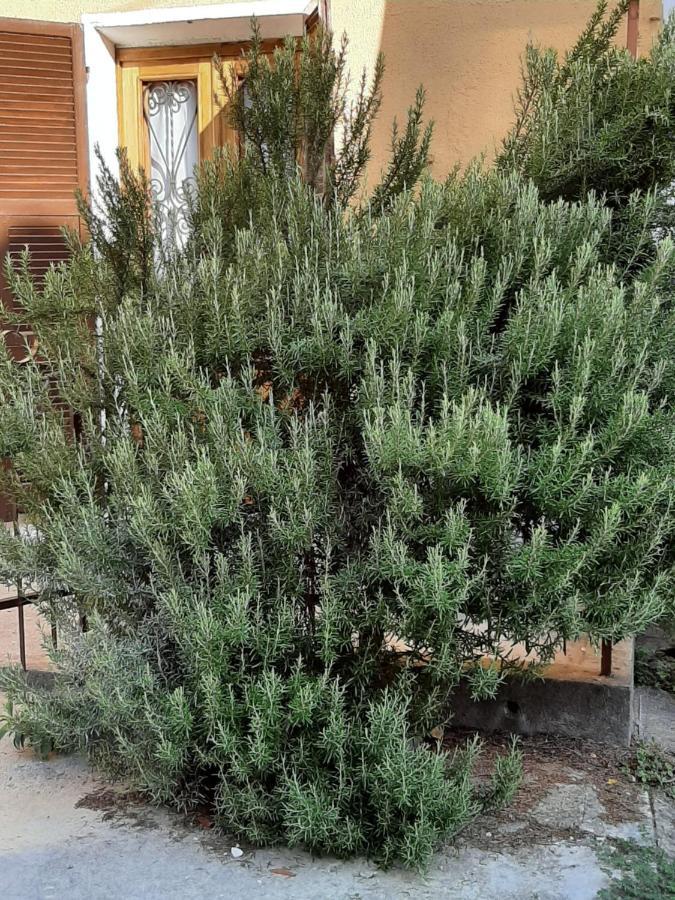 Il Rosmarino Villa Fresonara  Dış mekan fotoğraf
